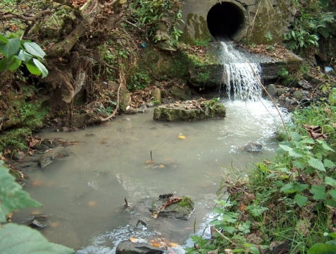 Sewage spill in Draperstown